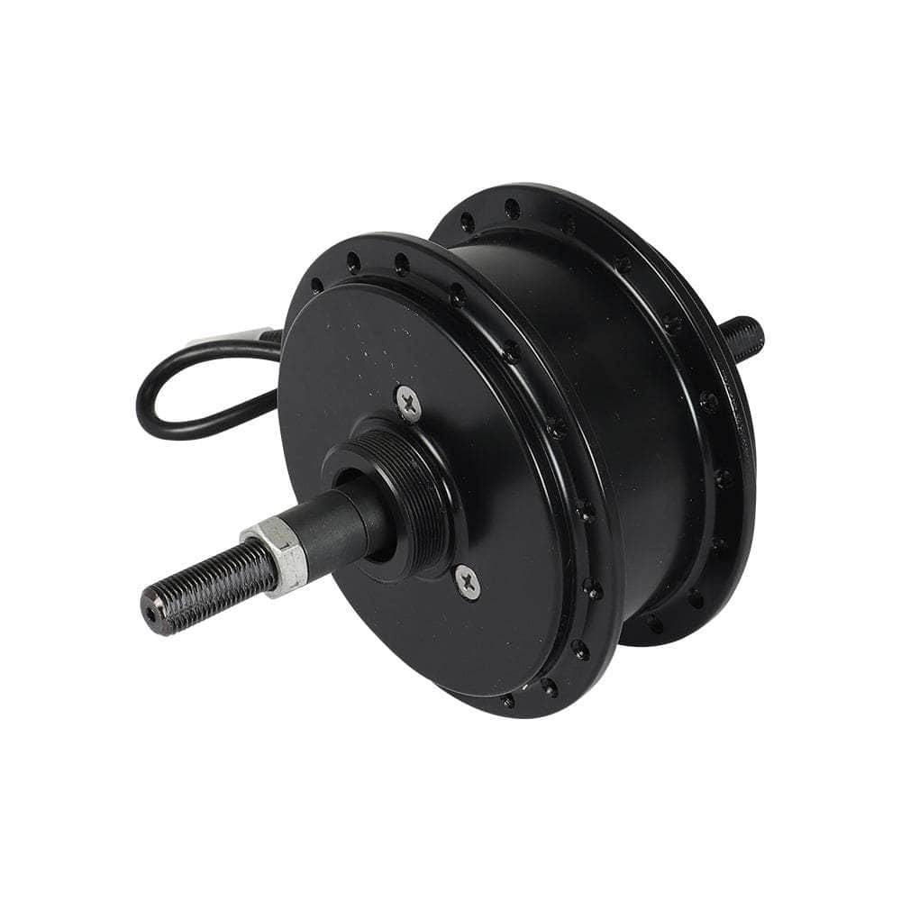 Fiido 250W Motor für D11/D21