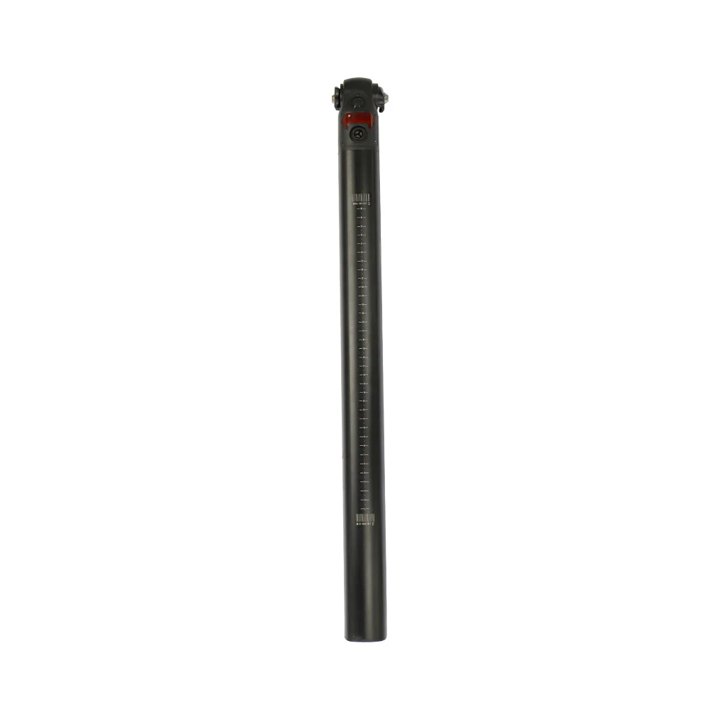 Fiido Zusätzliche Batterie für D21