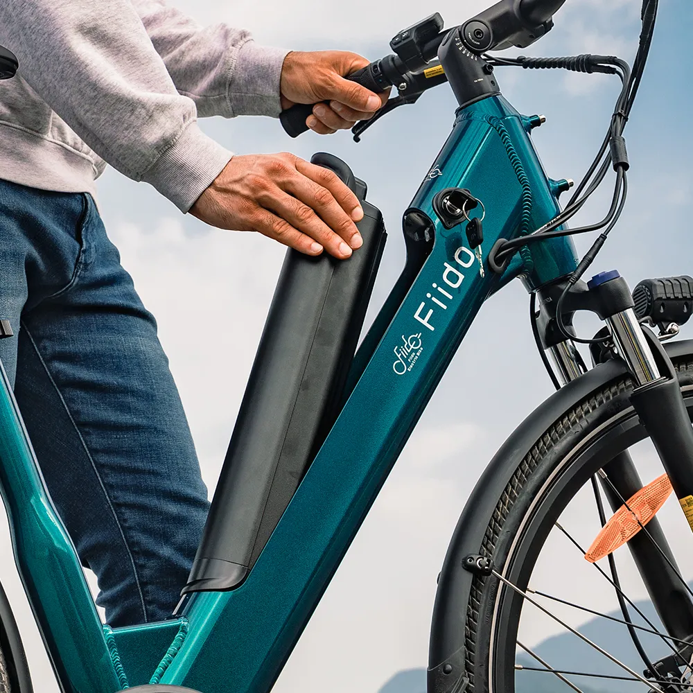 Fiido C11 Leichtes Urban E-Bike - Image 5