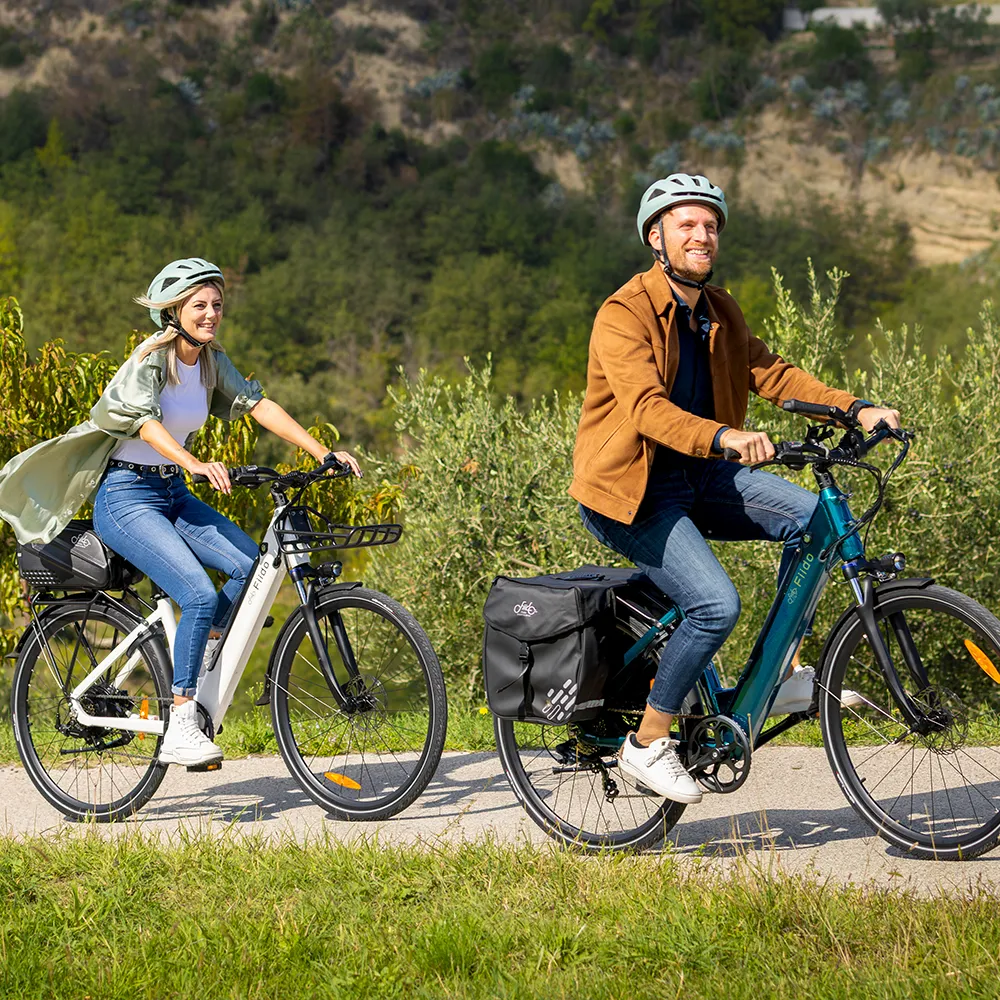 Fiido C11 Leichtes Urban E-Bike - Image 6