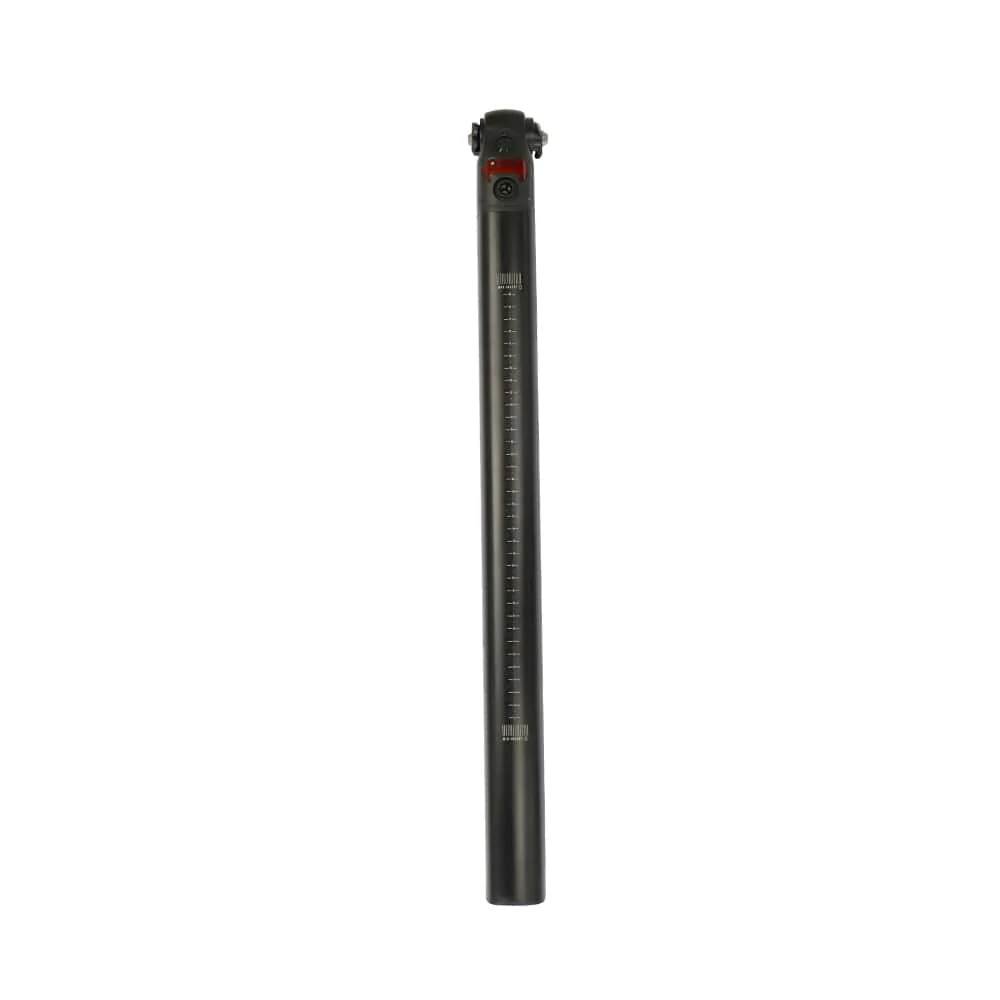 Fiido D11 Zusätzliche Batterie