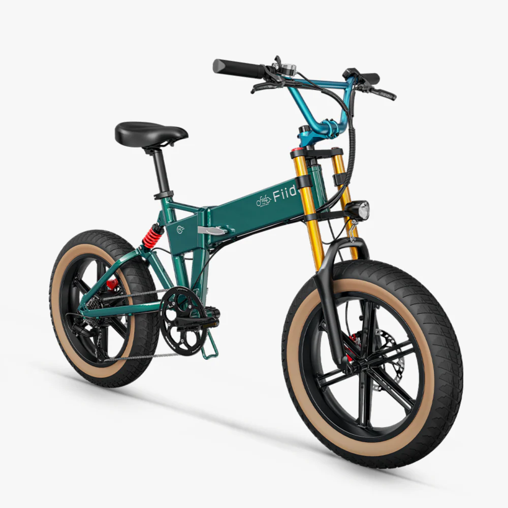Fiido M1 Pro Fatbike E-Bike - Image 10