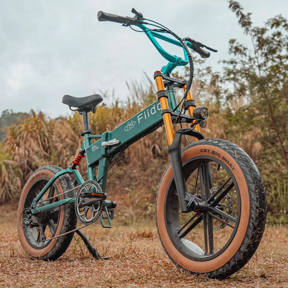 Fiido M1 Pro Fatbike E-Bike - Image 4