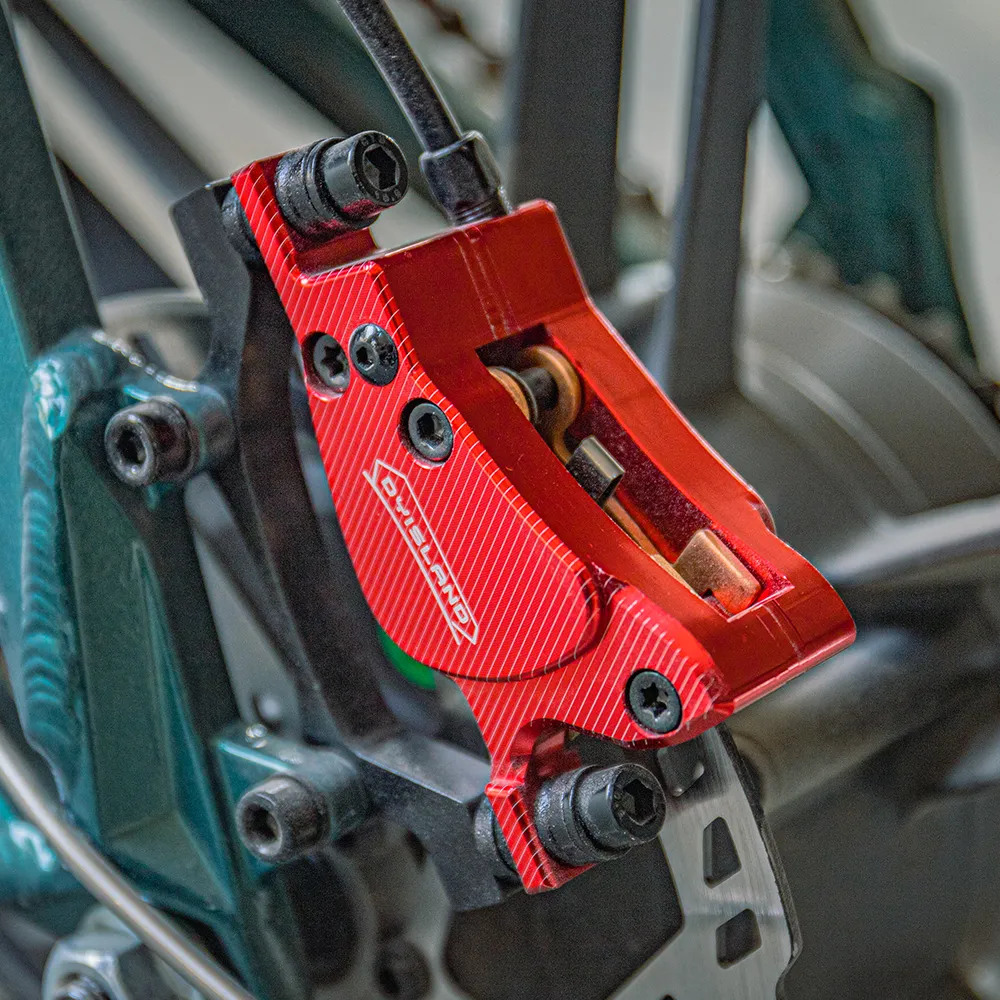 Fiido M1 Pro Fatbike E-Bike - Image 7
