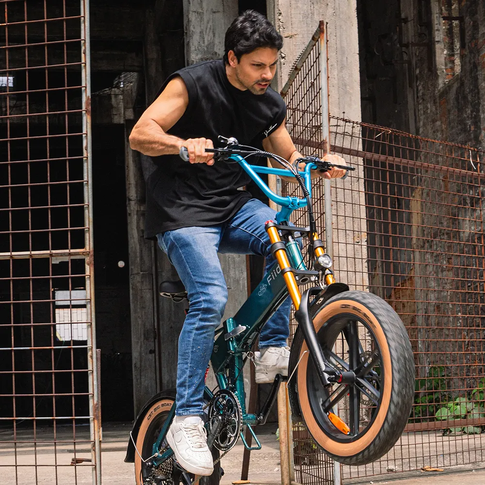 Fiido M1 Pro Fatbike E-Bike - Image 9
