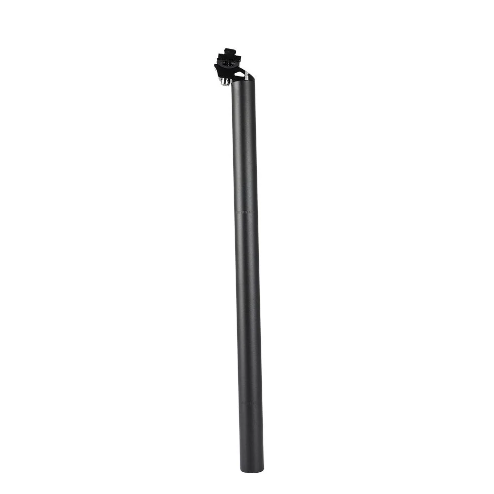 Fiido Sattelstütze für D4S