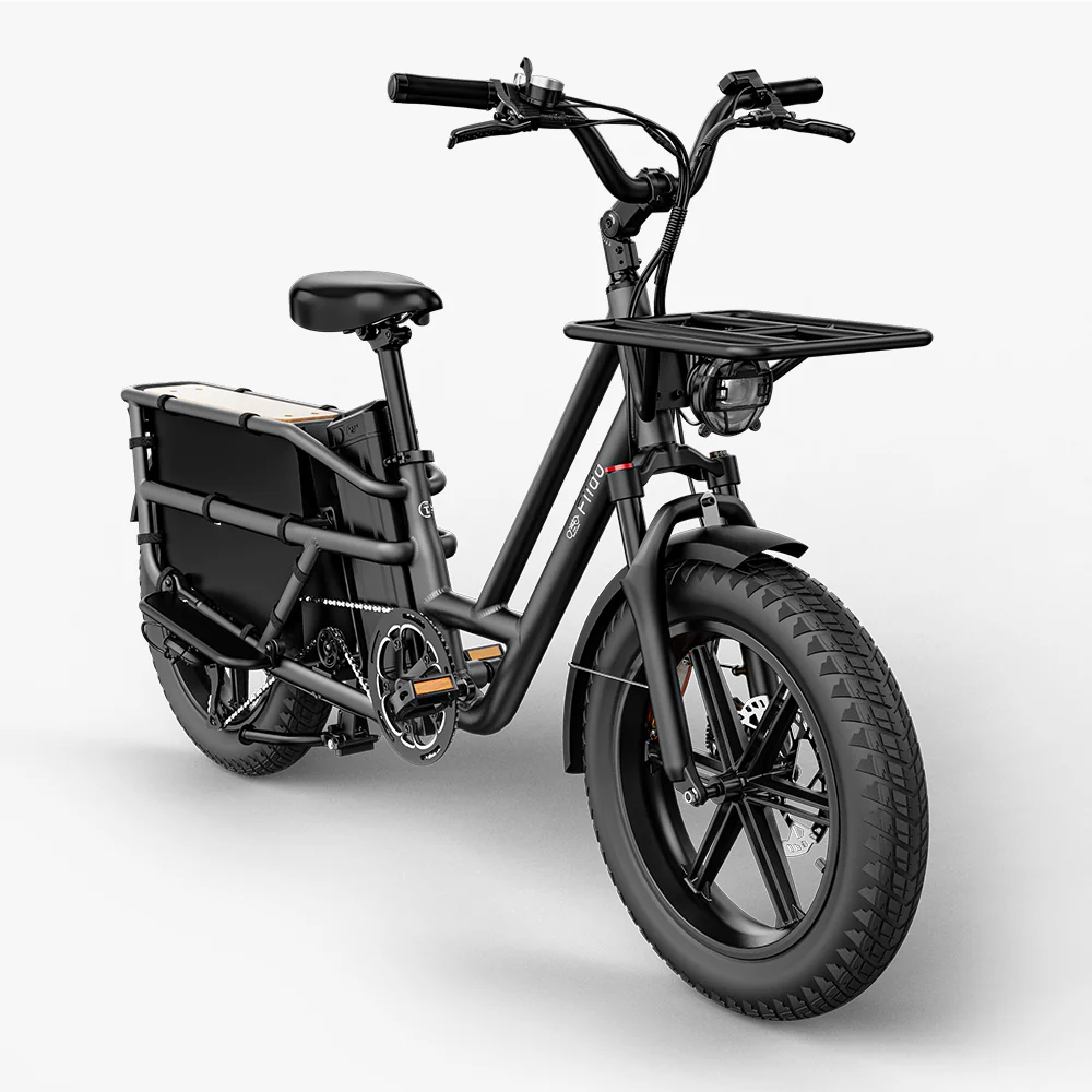 Fiido T2 Longtail Lasten-E-Bike - Image 12