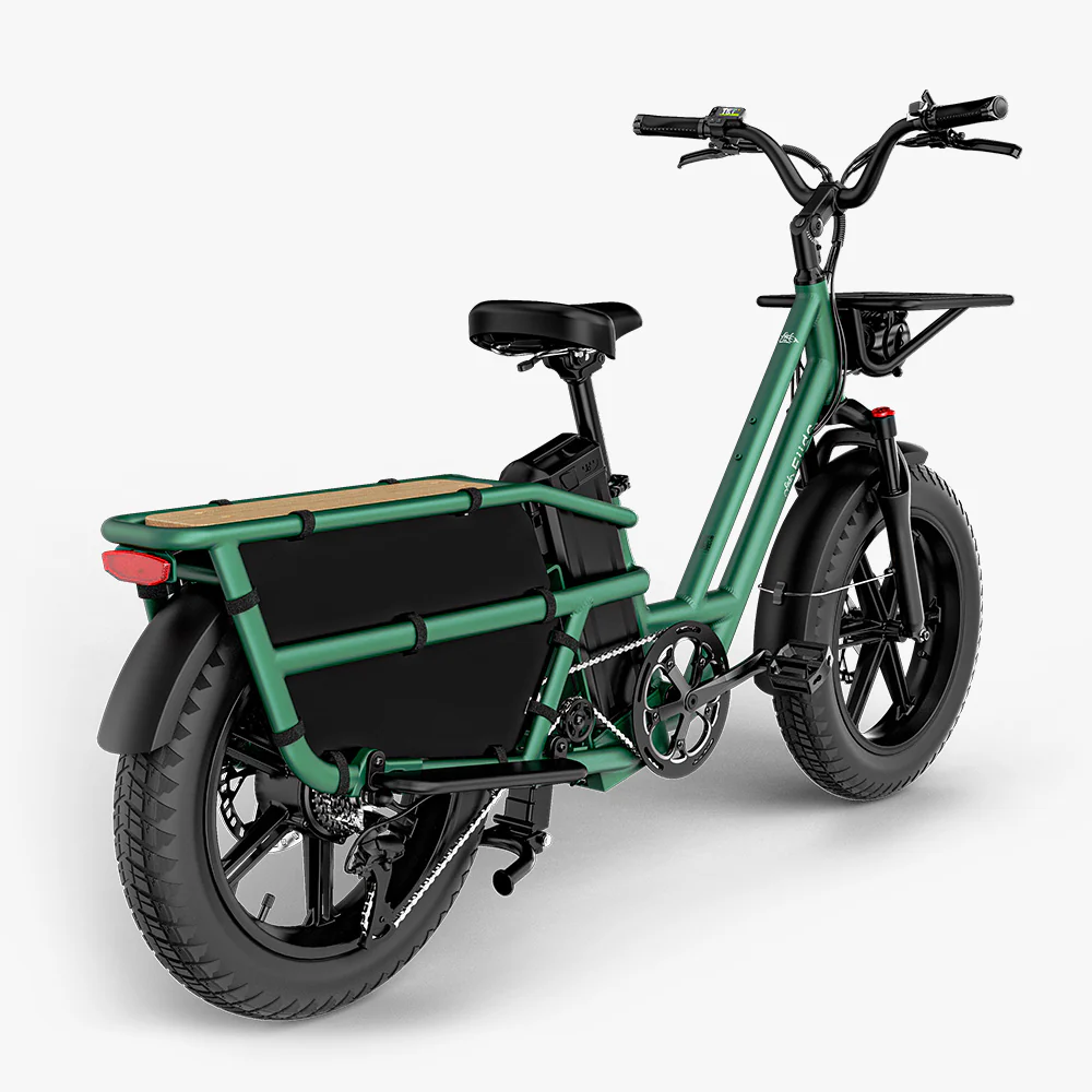 Fiido T2 Longtail Lasten-E-Bike - Image 13