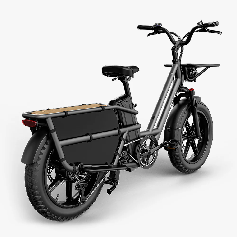 Fiido T2 Longtail Lasten-E-Bike - Image 14