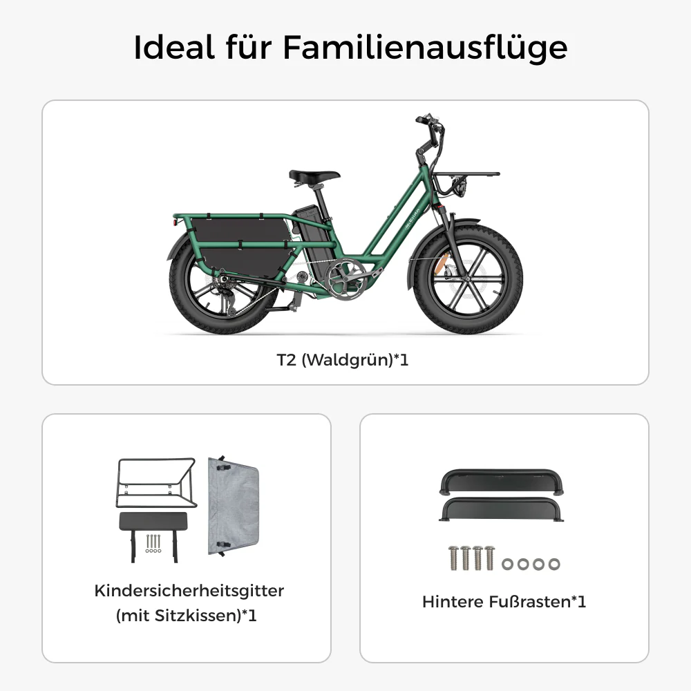 Fiido T2 Longtail Lasten-E-Bike - Image 16