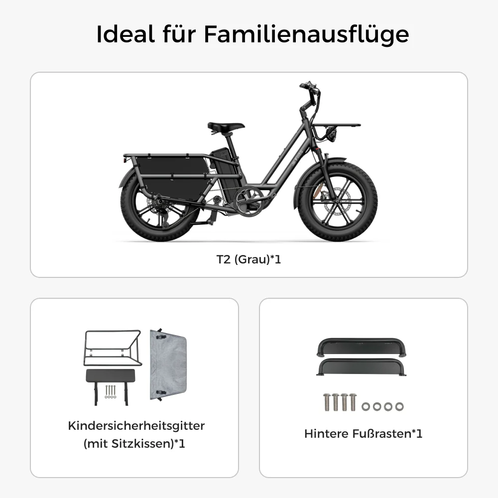 Fiido T2 Longtail Lasten-E-Bike - Image 17