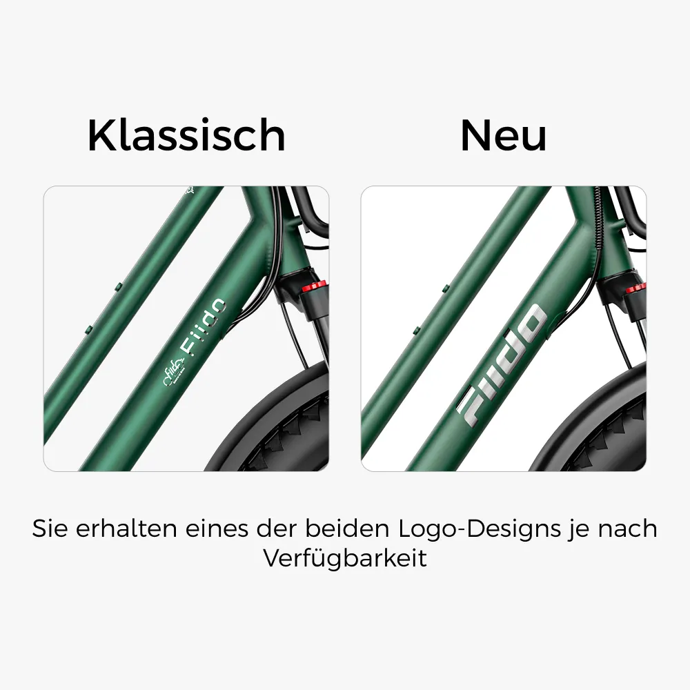 Fiido T2 Longtail Lasten-E-Bike - Image 3