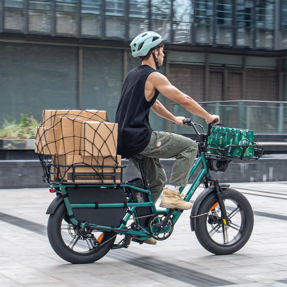 Fiido T2 Longtail Lasten-E-Bike - Image 9